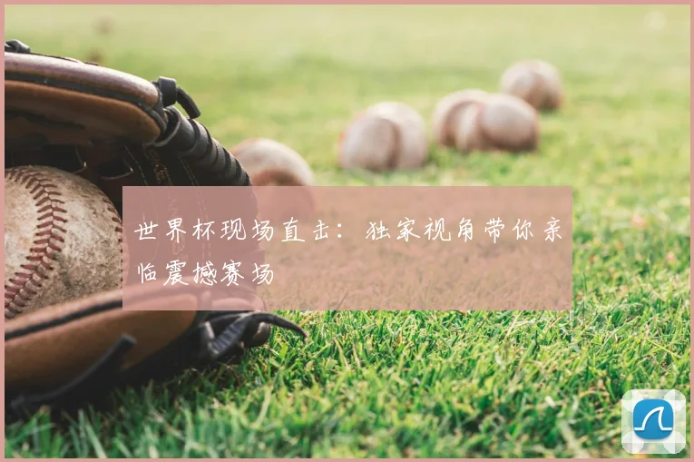 世界杯现场直击：独家视角带你亲临震撼赛场