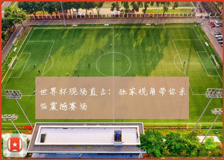 世界杯现场直击:独家视角带你亲临震撼赛场