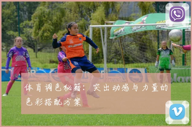 体育调色秘籍：突出动感与力量的色彩搭配方案